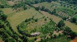 Teatro romano e Area archeologica dell'antica Cales